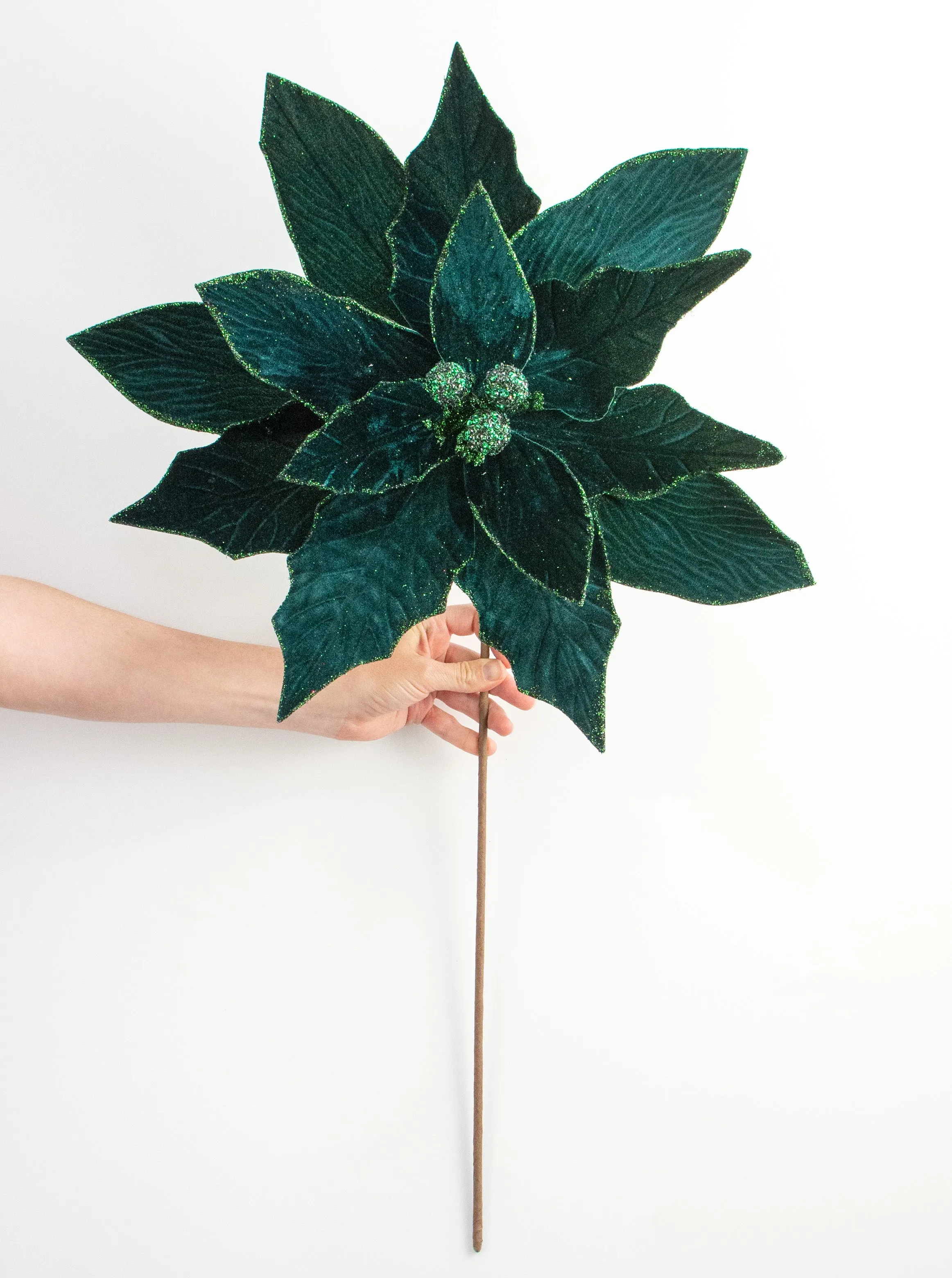 24" Jumbo Poinsettia Stem: Hunter Green