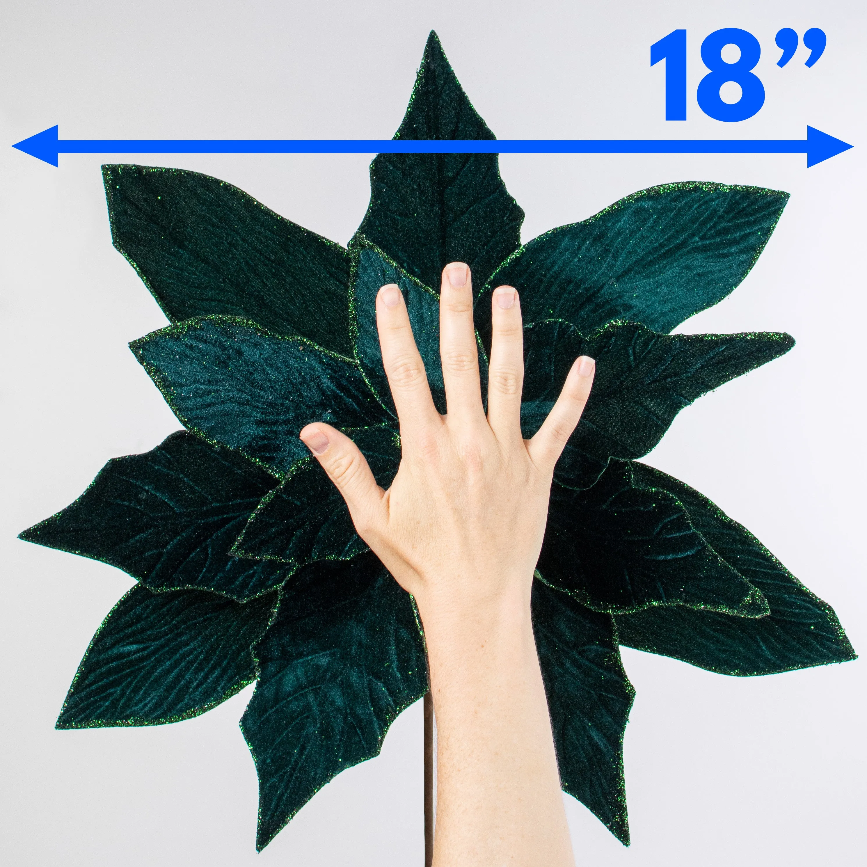 24" Jumbo Poinsettia Stem: Hunter Green